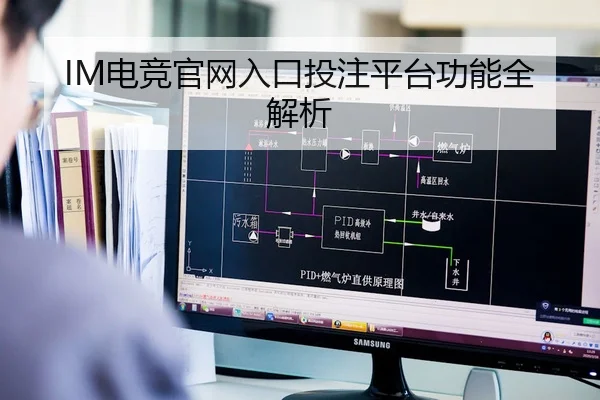 IM电竞官网入口投注平台功能全解析