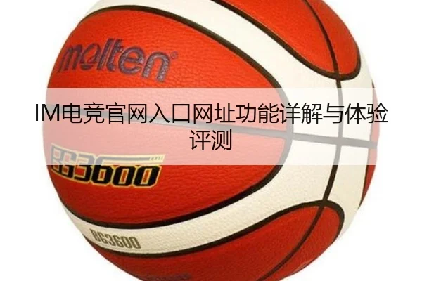 IM电竞官网入口网址功能详解与体验评测