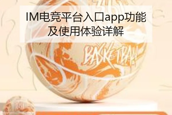IM电竞平台入口app功能及使用体验详解