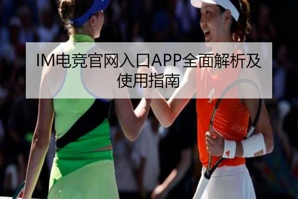IM电竞官网入口APP全面解析及使用指南