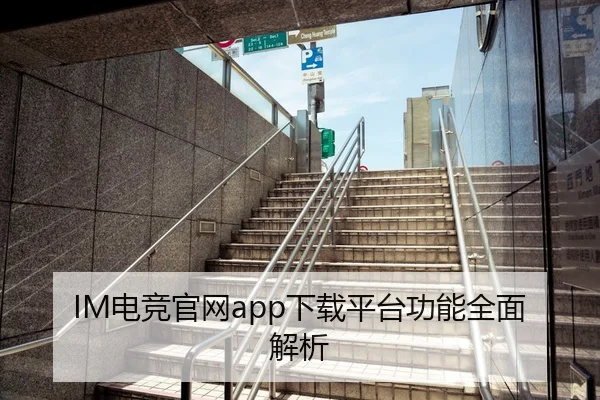 IM电竞官网app下载平台功能全面解析