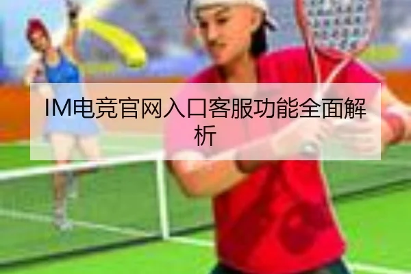 IM电竞官网入口客服功能全面解析